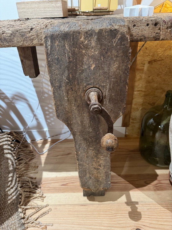 Image 1 of Established