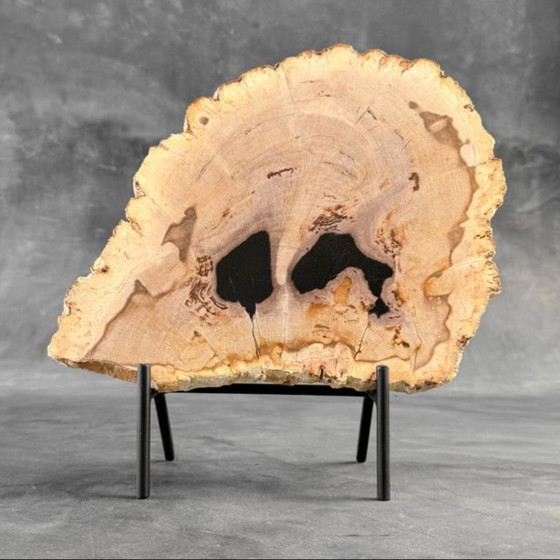 Image 1 of Magnifique pièce de bois pétrifié sur un support sur mesure BS-9