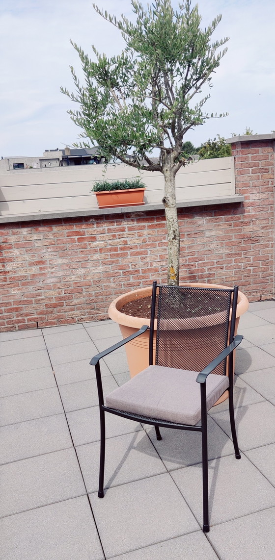 Ensemble de jardin pour balcon ou petit jardin. – Ensembles de jardin, Aluminium (photo 5 of 10)