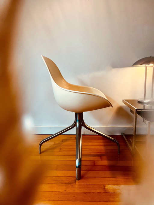 Silla única de Chris Martin