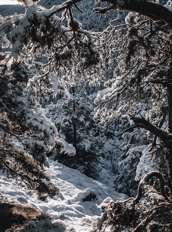 Image 1 of Fotografía de paisajes de montaña / A todo color / Impresión profesional