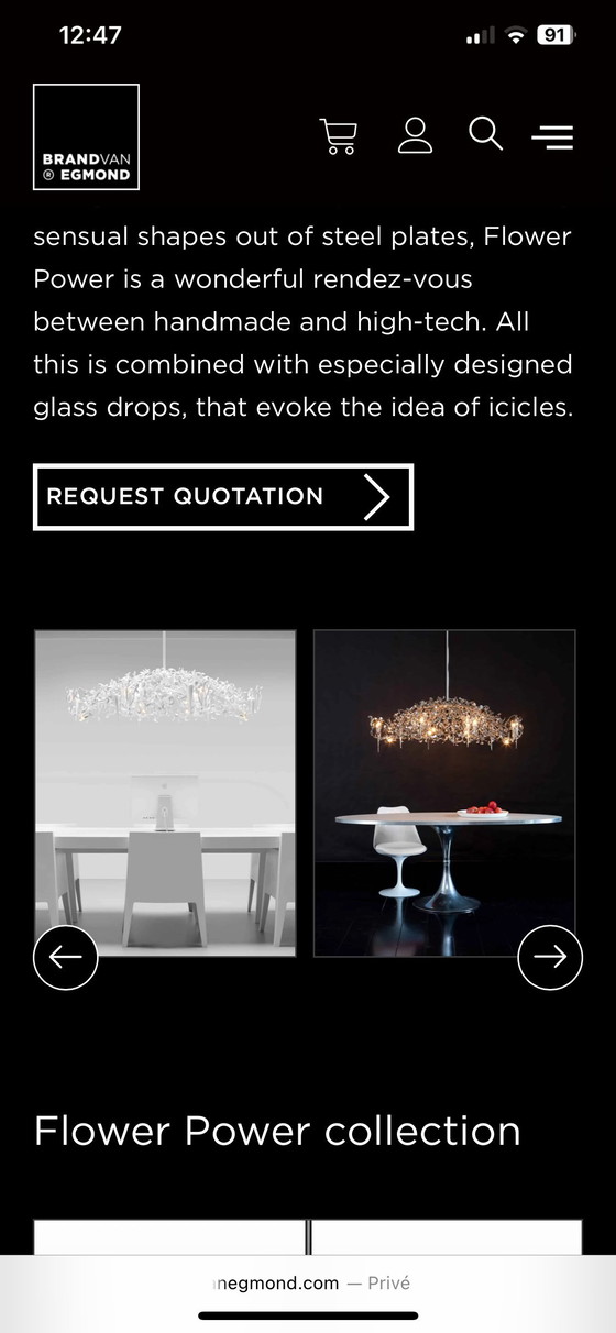 Image 1 of MarqueVanEgmond flowerpower