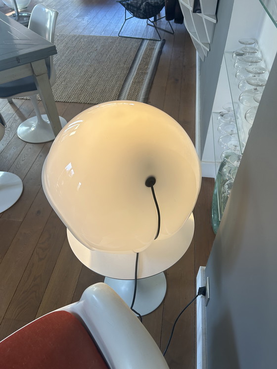 Image 1 of Lámpara Foglia 643 de Martinelli Luce 1969