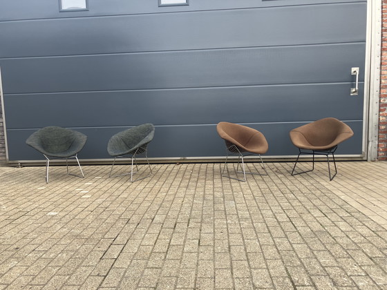 Image 1 of 2 chaises originales Knoll Bertoia Diamond