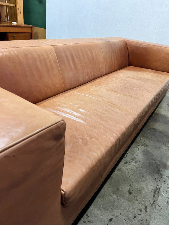 Image 1 of Sofá XL, Montis Malou, Tapizado en Cuero, Coñac