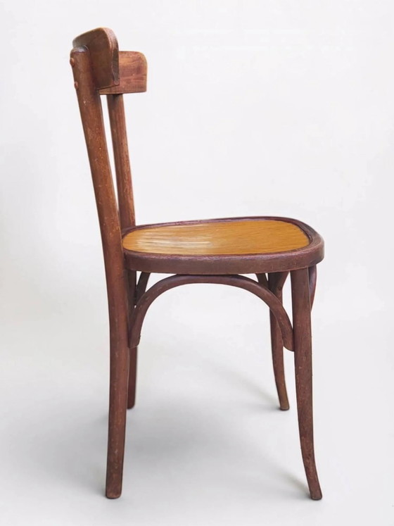 Sedia da bistrò in legno curvato – Sedie da pranzo, Wood (photo 9 of 15)