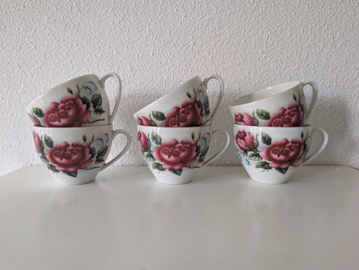 Vasos Royal Schwabap 5 +1
