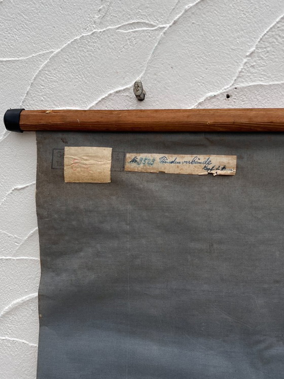 Image 1 of Aufklärungsplakat zum Thema Verbände