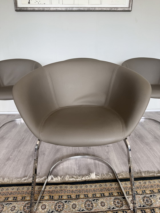 Image 1 of 4x Chaise Arper Duna Design by Lievore Altherr Molina, ca2014