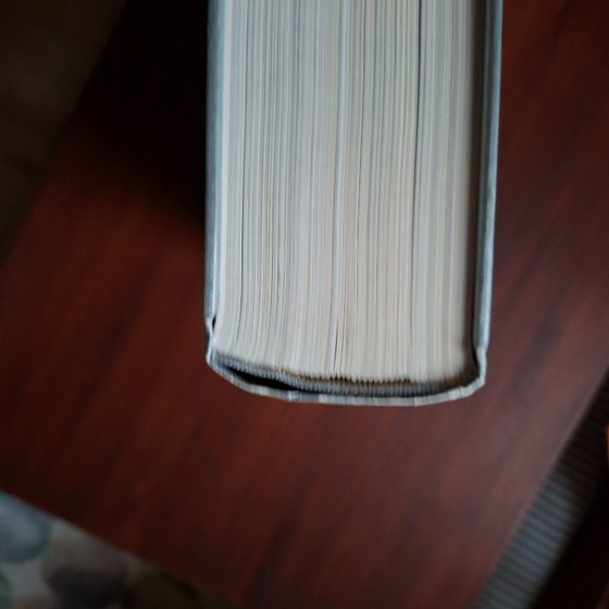 Image 1 of Bildband „Designer Apartment“ von Julio Fajardo.