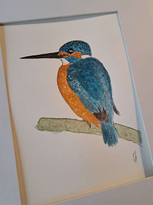 Aquarel schilderij origineel ijsvogel in lijst