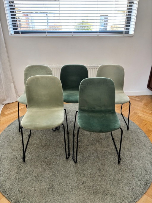 5 chaises de salle à manger meublées