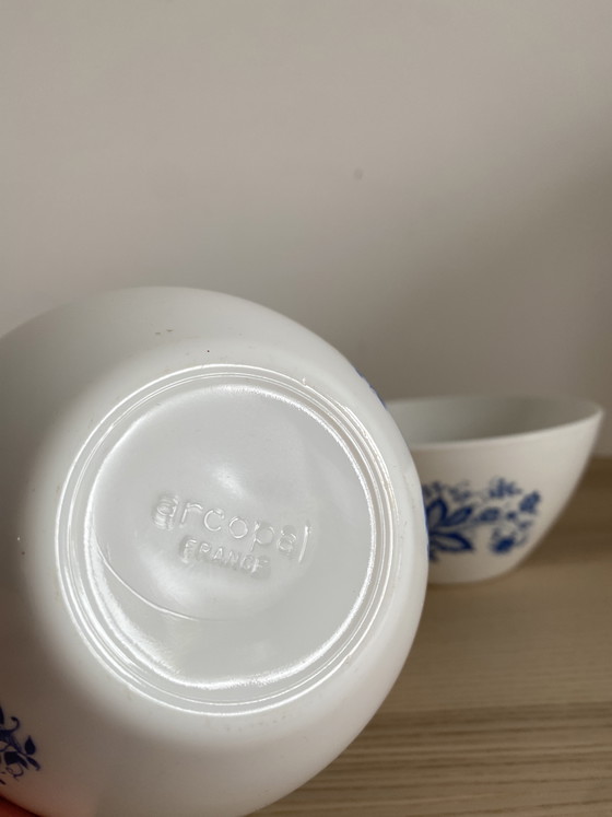 Image 1 of Vintage Arcopal Aster 4-piece Bowl Set