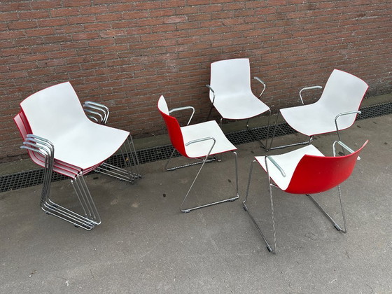 Image 1 of (8 pz) Sedie Arper Catifa 46 con braccioli