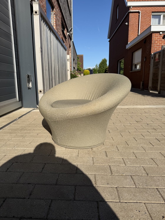 Image 1 of Chaise champignon vintage Artifort vert menthe en très bon état !