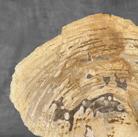 Image 1 of Madera fosilizada de Sooka, soporte hecho a medida (nuevo)