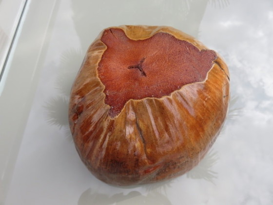 Image 1 of Secchiello per ghiaccio in cocco naturalizzato, 1970