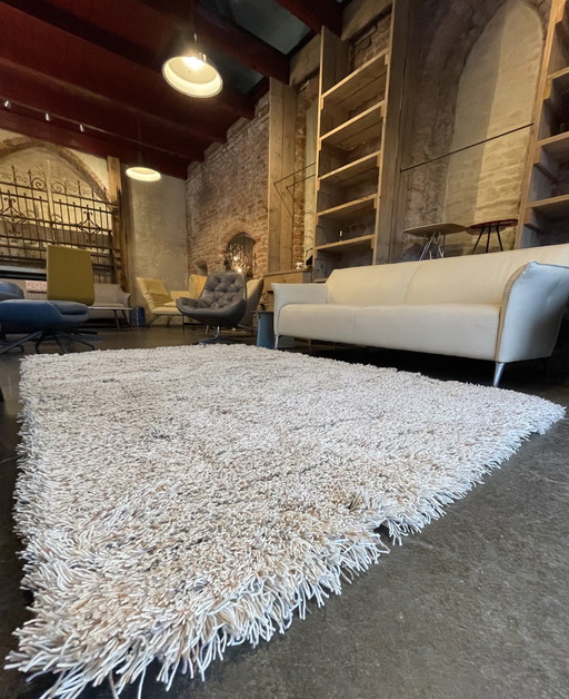 Nieuw! Brink en Campman tapijt Jazz Lush naturel