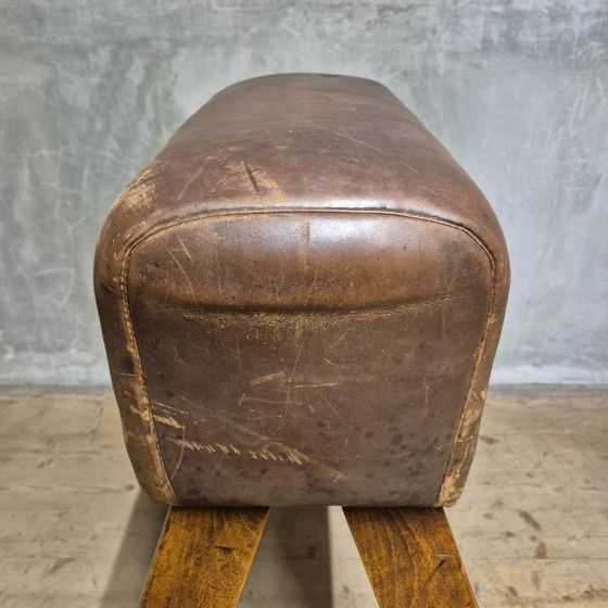 Image 1 of Vintage turnpaard, Tsjecho-Slowakije, jaren 60