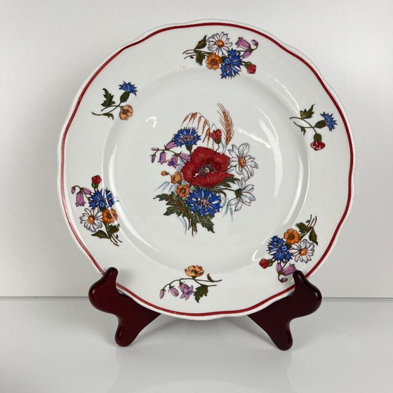 Set of 4 "Agreste" Dinner Plates, Sarreguemines, Late 20th Century, Pyroblan – Crockery, Porcelain (photo 3 of 8)