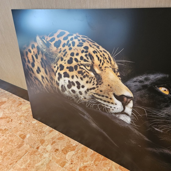 Ebenholz und Elfenbein, Panther Krebs Mat Aluminium – YellowKorner, Fotografie, Paper (photo 4 of 8)