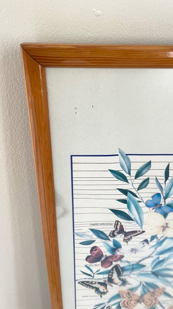 Image 1 of TABLEAU Affiche BUTTERFLY Italy