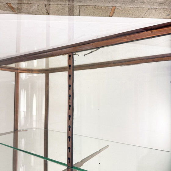 Image 1 of Grote antieke museum vitrinekast met gebogen glas – bronskleurig metalen vitrinekast