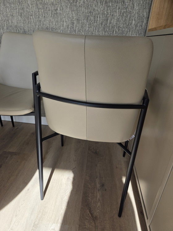 Vier Eetkamerstoelen Movani – Leather, Metal (photo 6 of 6)