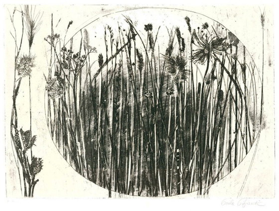 Image 1 of Paola Pitzianti - Grasses And Flowers 