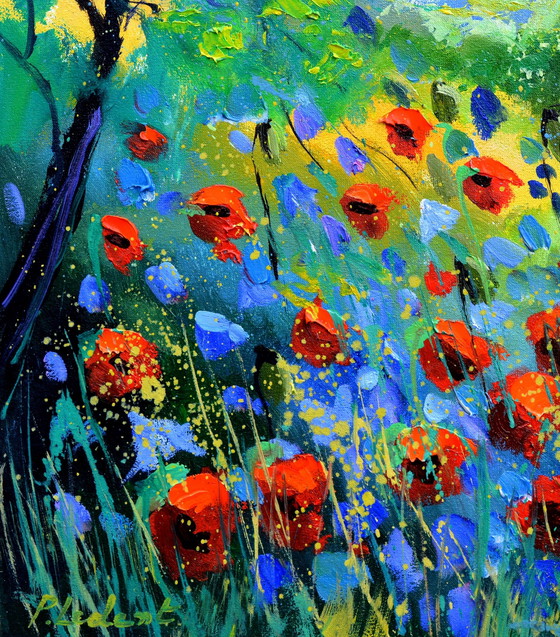 Image 1 of Red Poppies