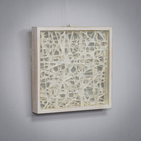 Image 1 of Organische vezelkunstcompositie in een glazen schaduwdooslijst, jaren 1990