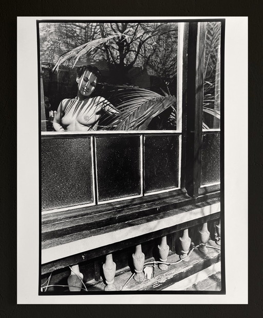 Michel Pinel ( 1949 ) Grande photographie 50cm x 40cm / les seins de Myriam / 1985