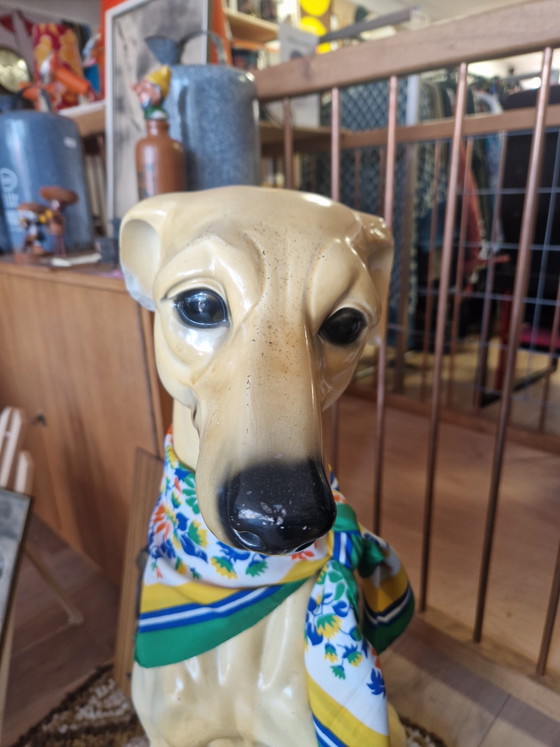 Image 1 of Bassano Greyhound