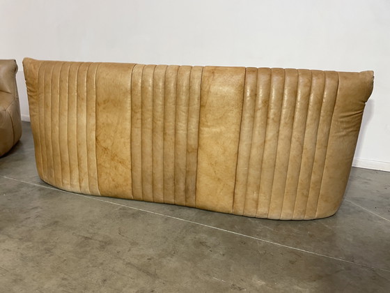 Image 1 of Ligne Roset Model Aralia For Michel Ducaroy sofa