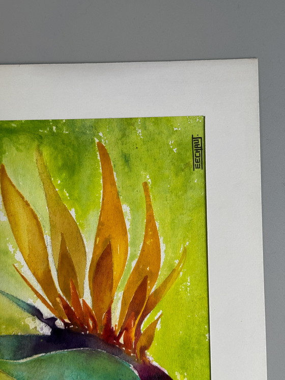 Image 1 of Eugène Eechaut (1928-2019) - Strelitzie - 1968. Signé