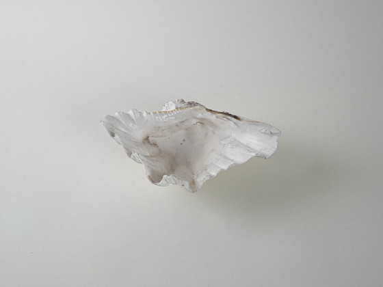 Image 1 of Concha decorativa Tritón, estilo bohemio, años 80