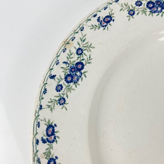 Image 1 of Round dish "Daisies", Sarreguemines, 1875 - 1920
