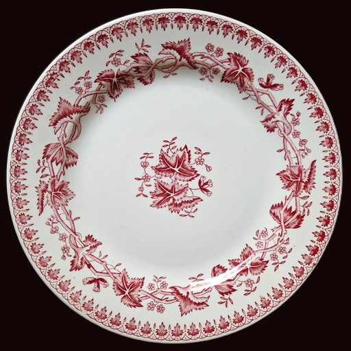 6 assiettes plates Geranium Red From Société Céramique