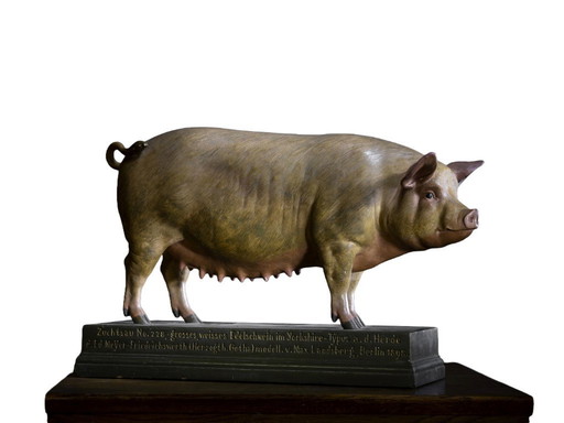 Varkensmodel, Max Landsberg, 1889, Duitsland