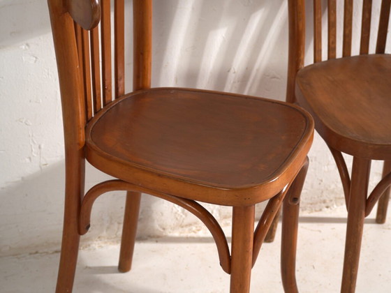Antique armchairs in TON bentwood – Czechoslovakia, circa 1960 #3 (photo 16 of 40)