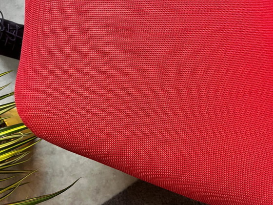 Image 1 of 2 sillones Artifort de la serie 511