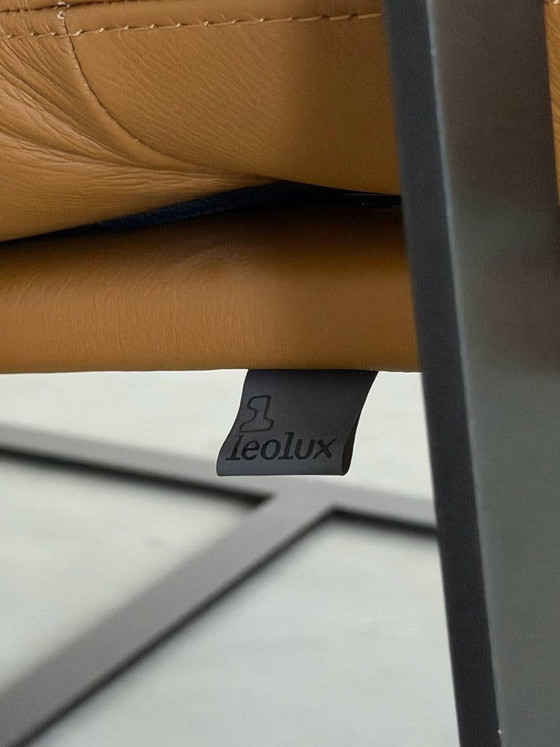 Poltrona Leolux Indra – Pelle Ceras Brandy – Come nuova – Poltrone, polished steel (photo 8 of 8)