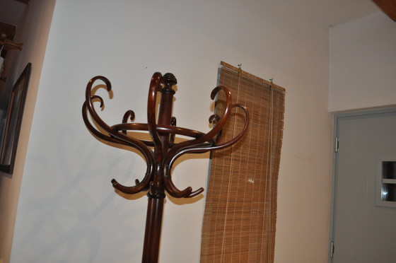 Portemanteau hongrois ancien sur pied de Thonet – Portemanteaux (photo 8 of 8)