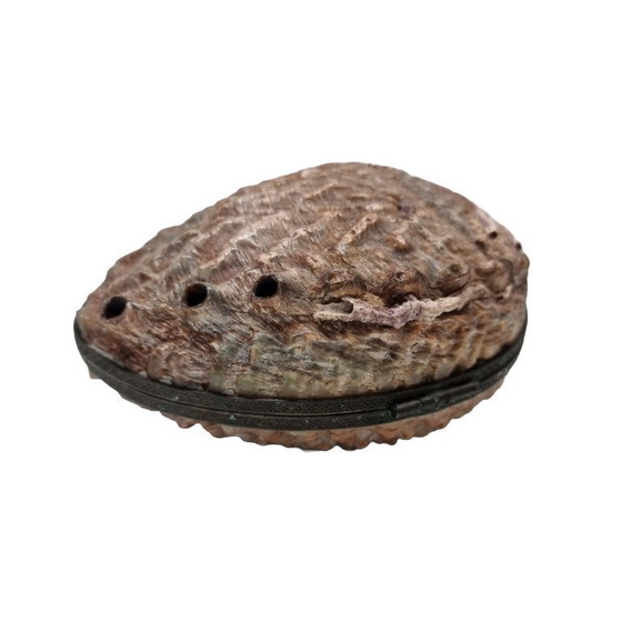 Image 1 of Ancienne boîte en coquille d'ormeau, début du 20e siècle