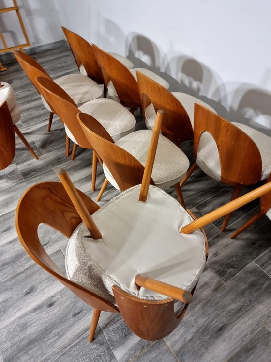 Image 1 of Dining Chairs from Antonin Suman, set of 12