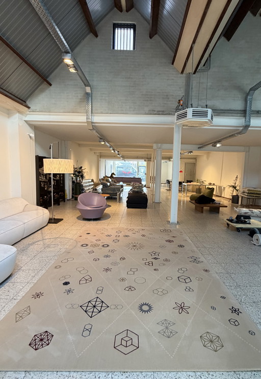 Alfombra Leolux Adamas 240 x 340 NUEVA