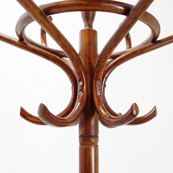 Image 1 of Appendiabiti a pappagallo in legno curvato vintage - stile Thonet