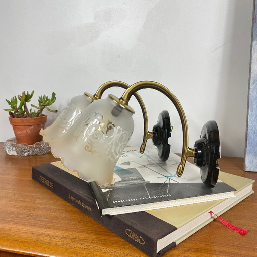 Pair of brass gooseneck wall sconces, screen-printed glass tulip shades, porcelain rosettes – wandlampen