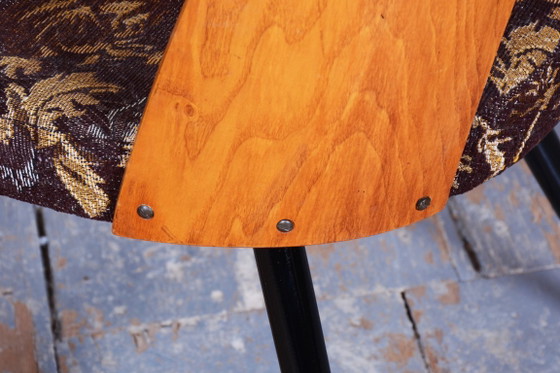 Set of Four Restored Mid-Century Chairs, Beech, Oak, Slovakia, 1950-1959 – Tatra Nábytok, Dining chairs (photo 11 of 11)
