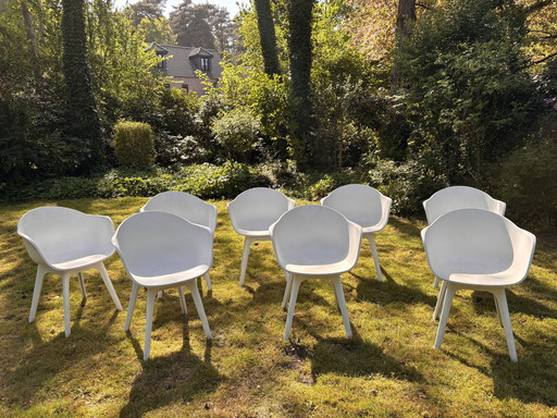 Kuipstoelen Mona